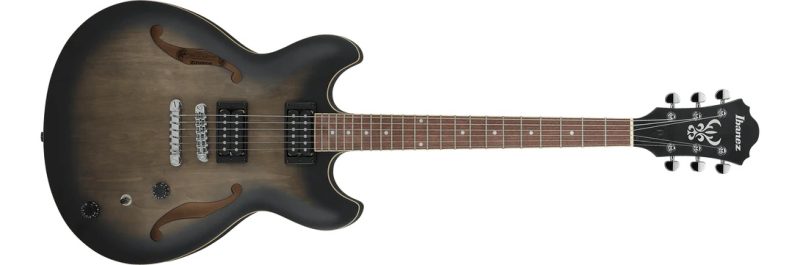 Guitarra eléctrica hollow body Ibanez AS53-TKF